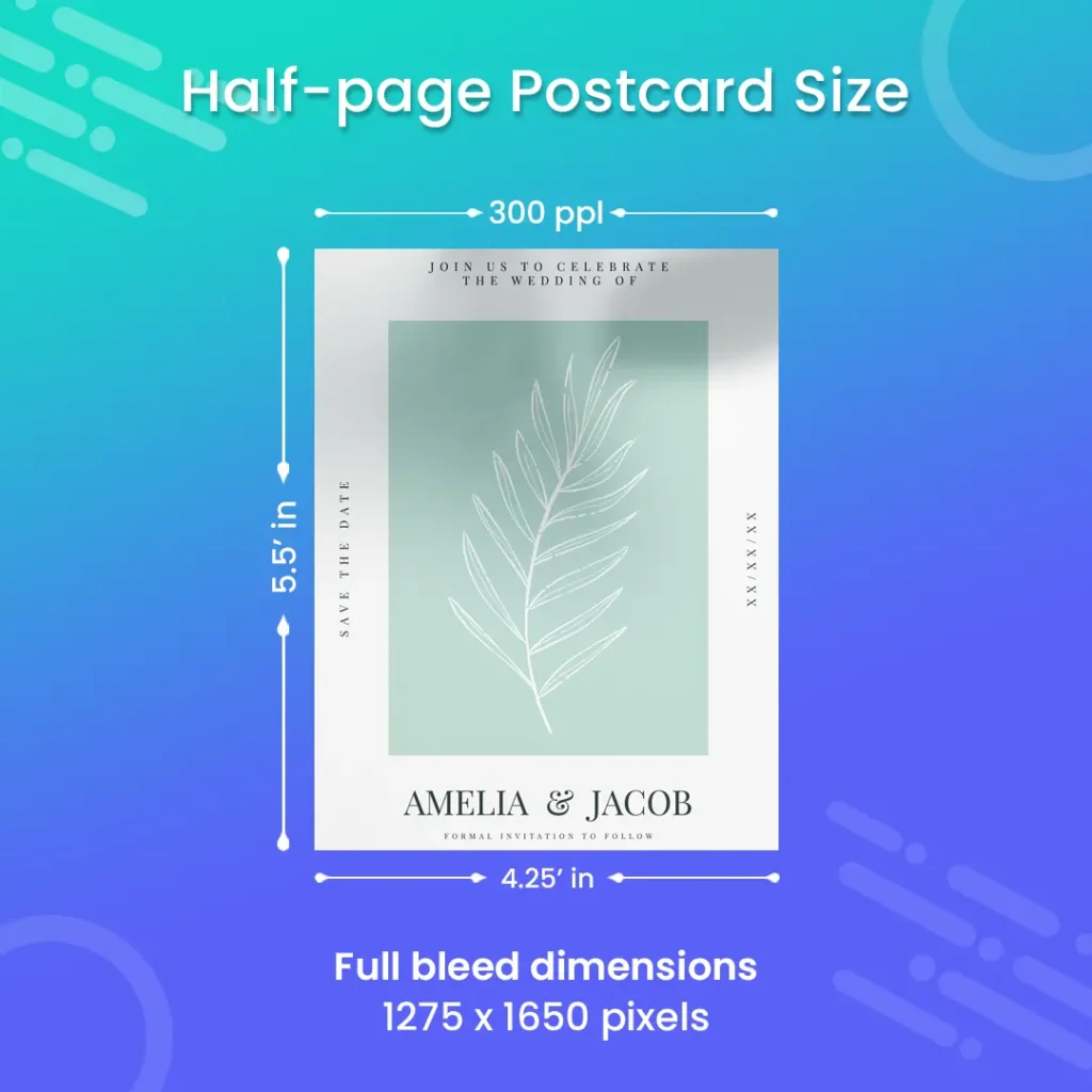 HalfPage Postcard Size Guide